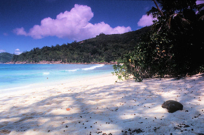 Seychellen 1999-129.jpg